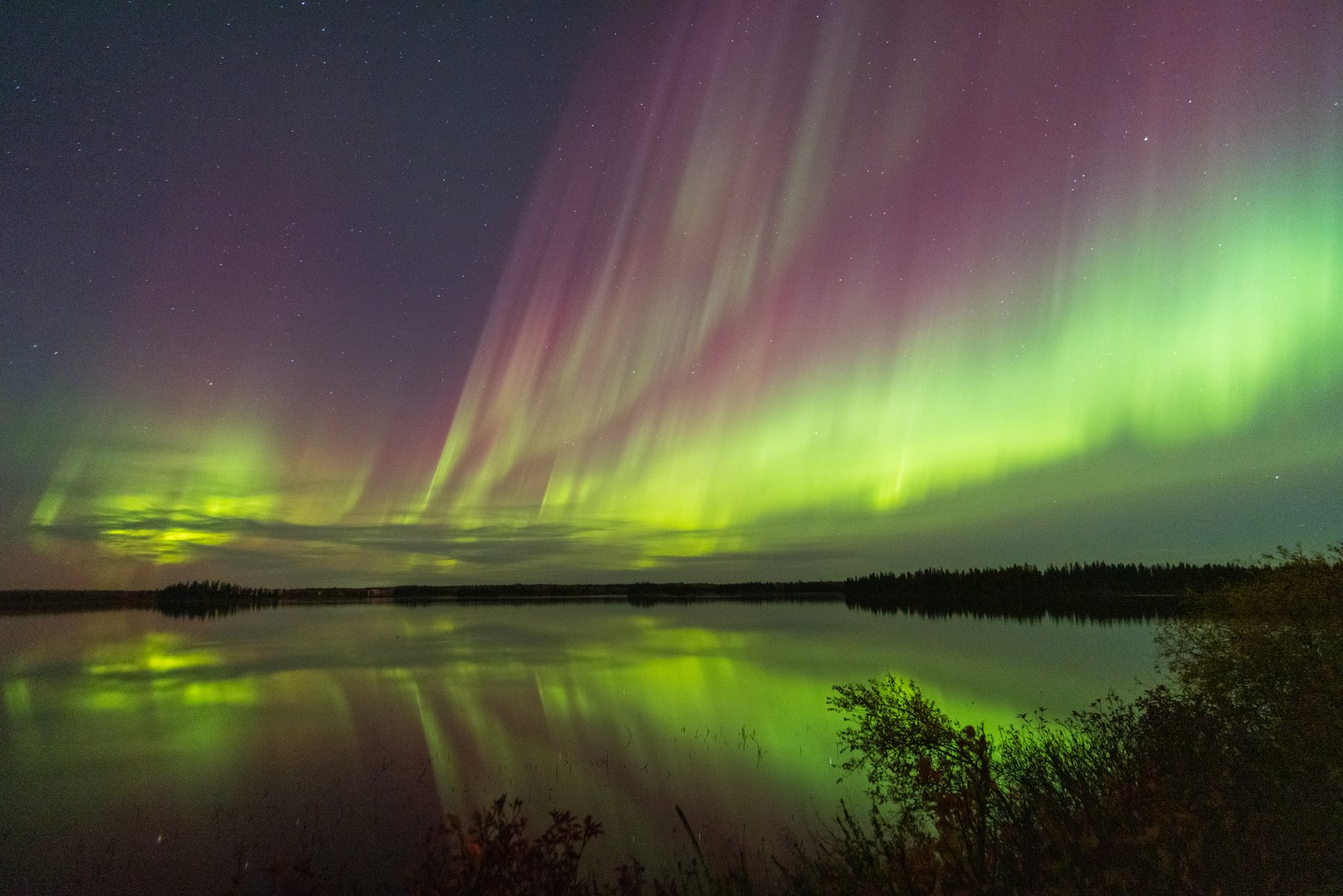 The aurora filling the sky over the lake at Elk Island National Park